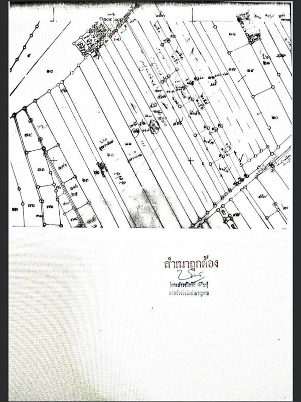 ขายด่วน! ลดกระหน่ำ ถูกสุดๆ ขายที่ดินราคาพิเศษ อ.บางเสาธง จ.สมุทรปราการ สวย ทำเลดี Tel. 092-6869618