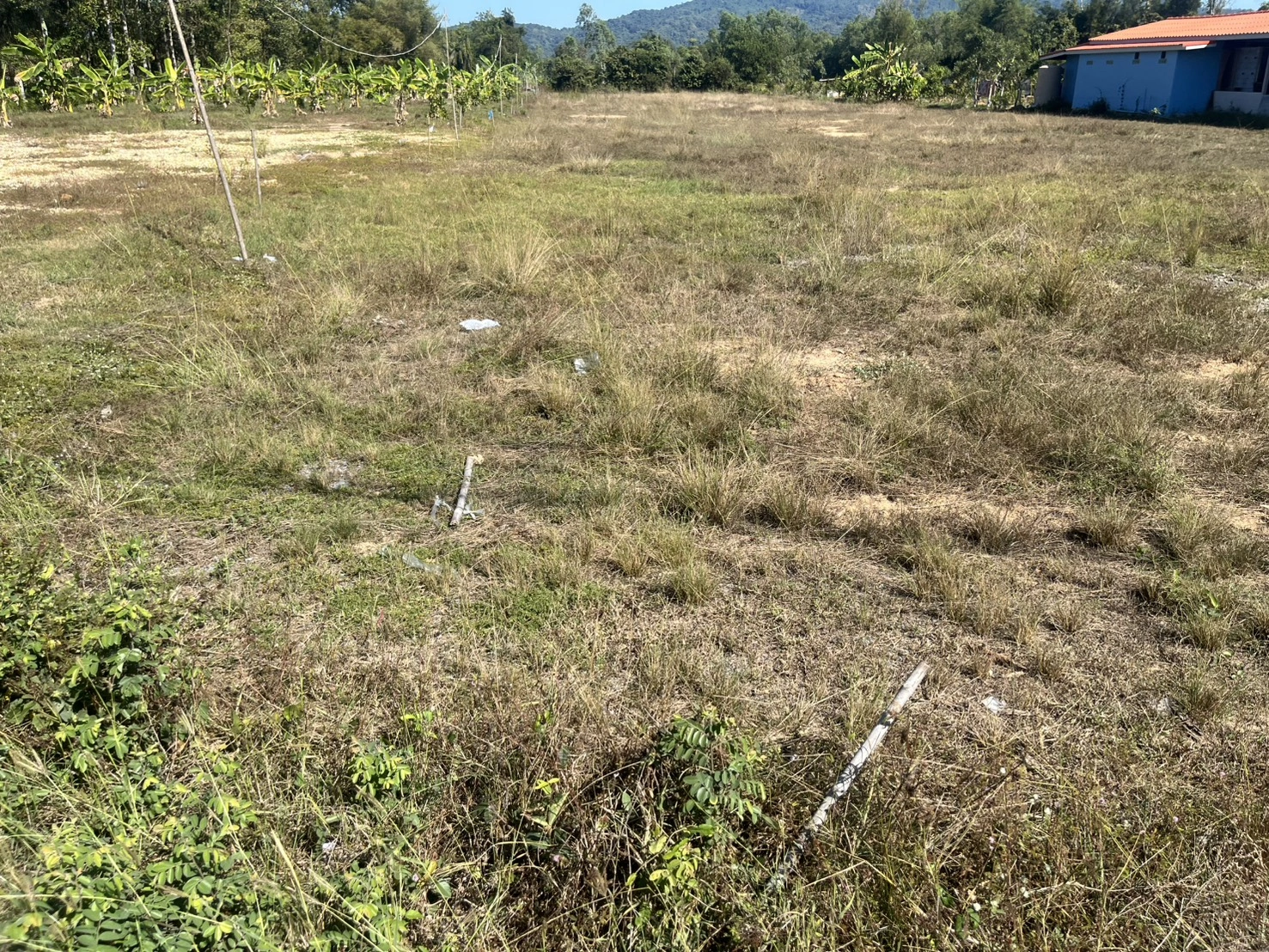 ขายที่ดิน 2 ไร่ มีโฉนดครุฑแดง ถมเต็มพื้นที่ วิวเขาชัดมาก อ.บ้านนา จ.นครนายก ขายไม่แพง