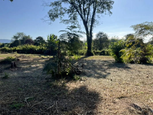 ขายที่ดิน 8 ไร่ 360 ตารางวา ตำบลสาริกา ติดถนนหลวงเส้นหลัก หน้ากว้าง 52 ม. ถมเต็มพื้นที่ ราคาถูกกว่าข้างเคียง