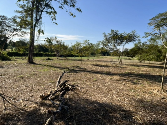 ขายที่ดิน 8 ไร่ 360 ตารางวา ตำบลสาริกา ติดถนนหลวงเส้นหลัก หน้ากว้าง 52 ม. ถมเต็มพื้นที่ ราคาถูกกว่าข้างเคียง