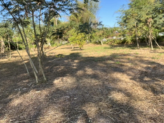 ขายที่ดิน 8 ไร่ 360 ตารางวา ตำบลสาริกา ติดถนนหลวงเส้นหลัก หน้ากว้าง 52 ม. ถมเต็มพื้นที่ ราคาถูกกว่าข้างเคียง