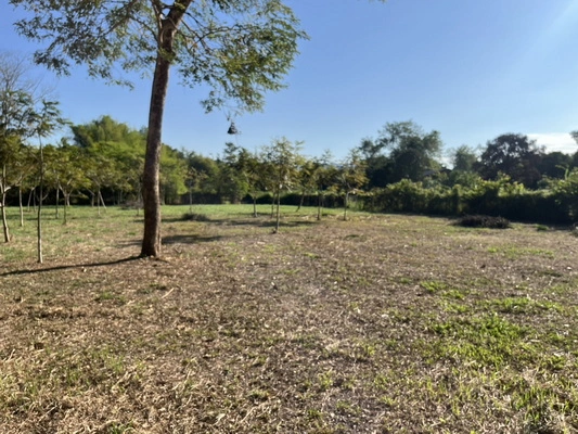 ขายที่ดิน 8 ไร่ 360 ตารางวา ตำบลสาริกา ติดถนนหลวงเส้นหลัก หน้ากว้าง 52 ม. ถมเต็มพื้นที่ ราคาถูกกว่าข้างเคียง