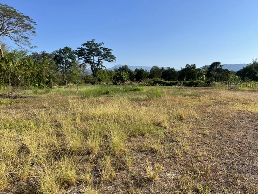 ขายที่ดิน 8 ไร่ 360 ตารางวา ตำบลสาริกา ติดถนนหลวงเส้นหลัก หน้ากว้าง 52 ม. ถมเต็มพื้นที่ ราคาถูกกว่าข้างเคียง