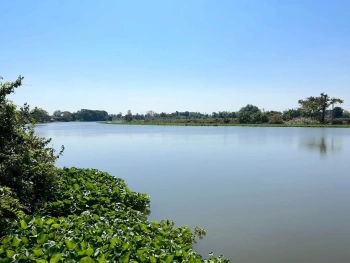 ขายที่ดินติดแม่น้ำนครชัยศรี จ.นครปฐม ทำเลดี ที่ดินถมแล้ว