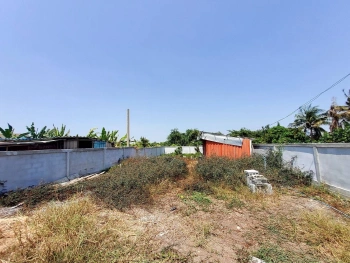 ขายด่วนที่ดินคลองโต๊ะใหม่ 100 ตรว ล้อมรั้วและทำกำแพงไว้แล้ว อ.บางบัวทอง จ.นนทบุรี