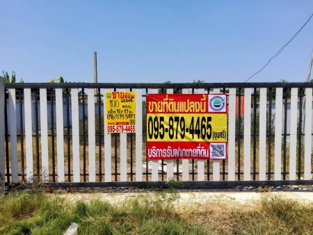 ขายด่วนที่ดินคลองโต๊ะใหม่ 100 ตรว ล้อมรั้วและทำกำแพงไว้แล้ว อ.บางบัวทอง จ.นนทบุรี