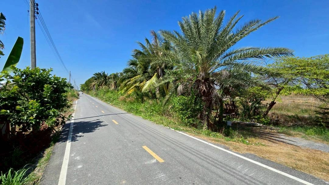 ขายด่วนที่ดินผังสีม่วง 466 ตรว ติดถนนลาดยางสาธารณะ ถนน นบ.3015 อ ไทรน้อย จ.นนทบุรี