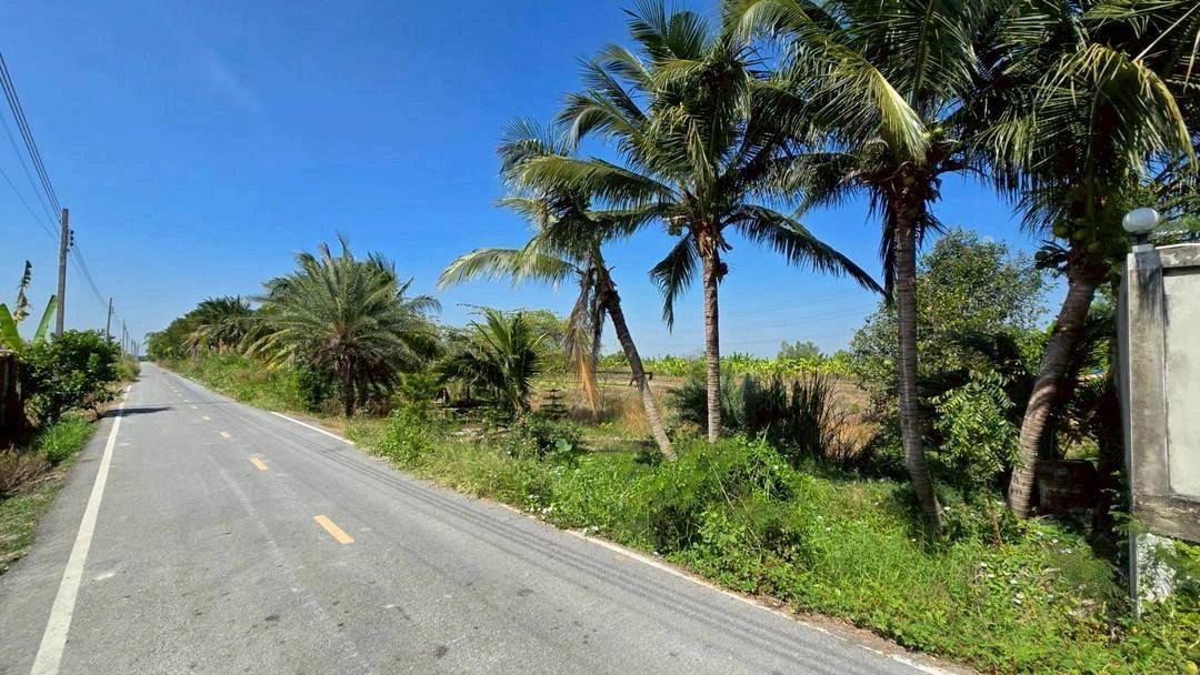 ขายด่วนที่ดินผังสีม่วง 466 ตรว ติดถนนลาดยางสาธารณะ ถนน นบ.3015 อ ไทรน้อย จ.นนทบุรี