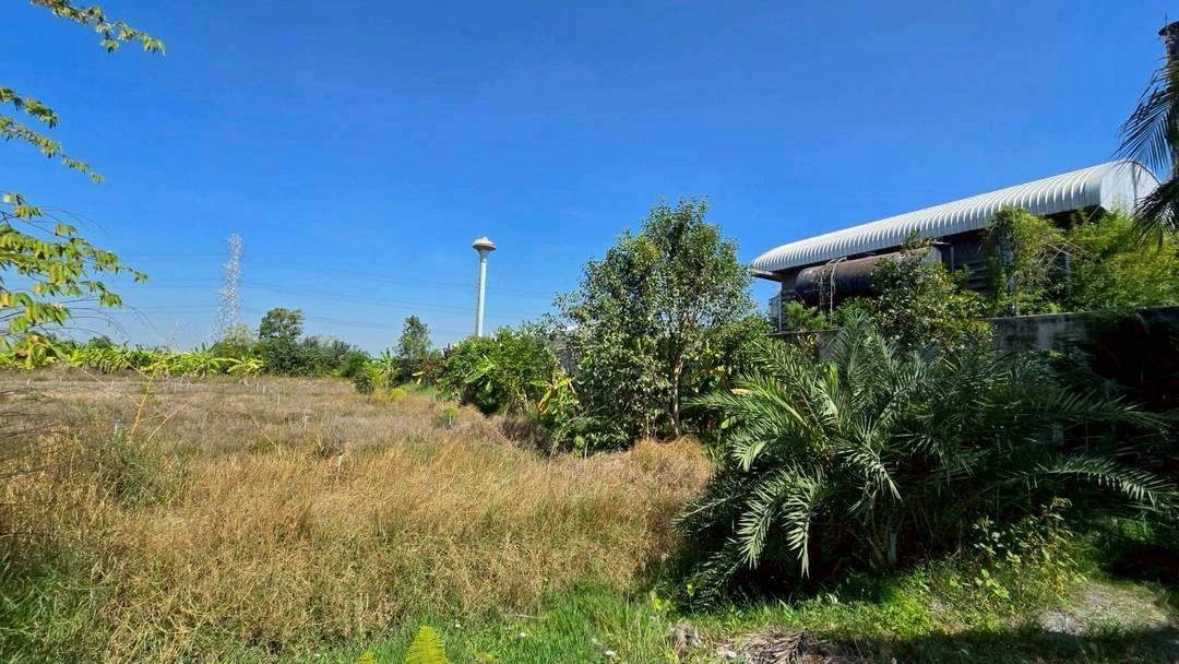 ขายด่วนที่ดินผังสีม่วง 466 ตรว ติดถนนลาดยางสาธารณะ ถนน นบ.3015 อ ไทรน้อย จ.นนทบุรี