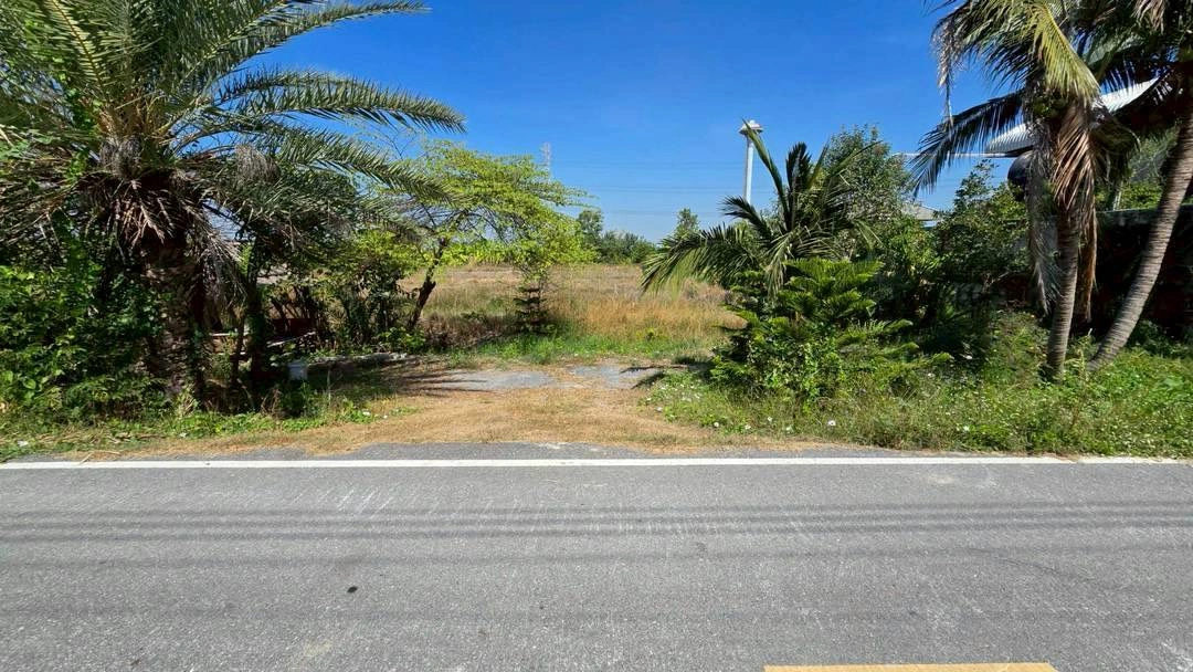 ขายด่วนที่ดินผังสีม่วง 466 ตรว ติดถนนลาดยางสาธารณะ ถนน นบ.3015 อ ไทรน้อย จ.นนทบุรี