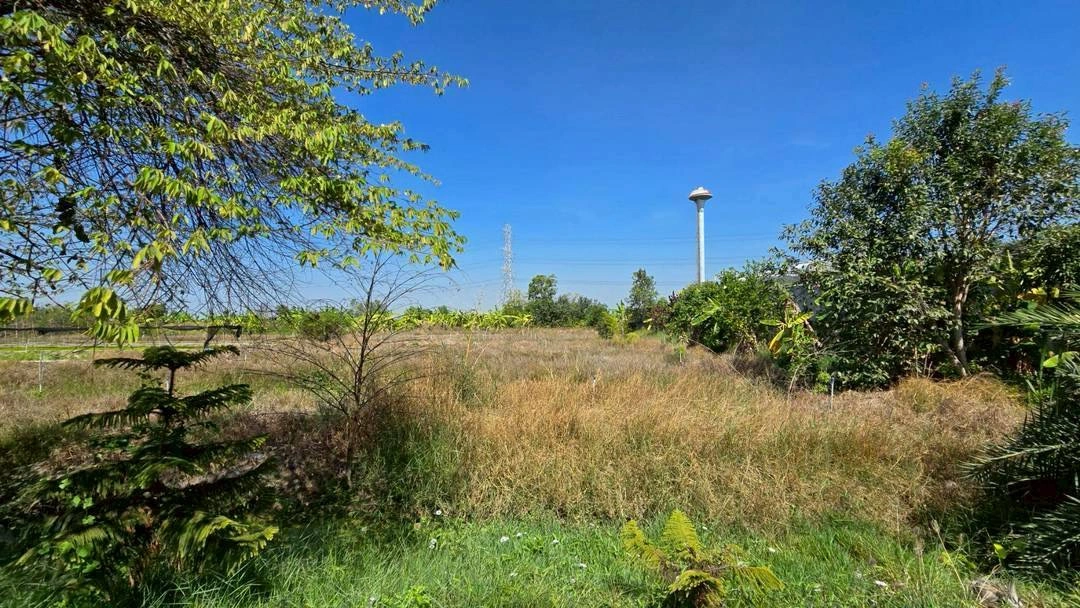 ขายด่วนที่ดินผังสีม่วง 466 ตรว ติดถนนลาดยางสาธารณะ ถนน นบ.3015 อ ไทรน้อย จ.นนทบุรี