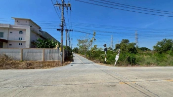 ขายด่วนที่ดินผังสีม่วง 466 ตรว ติดถนนลาดยางสาธารณะ ถนน นบ.3015 อ ไทรน้อย จ.นนทบุรี