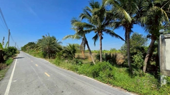 ขายด่วนที่ดินผังสีม่วง 466 ตรว ติดถนนลาดยางสาธารณะ ถนน นบ.3015 อ ไทรน้อย จ.นนทบุรี