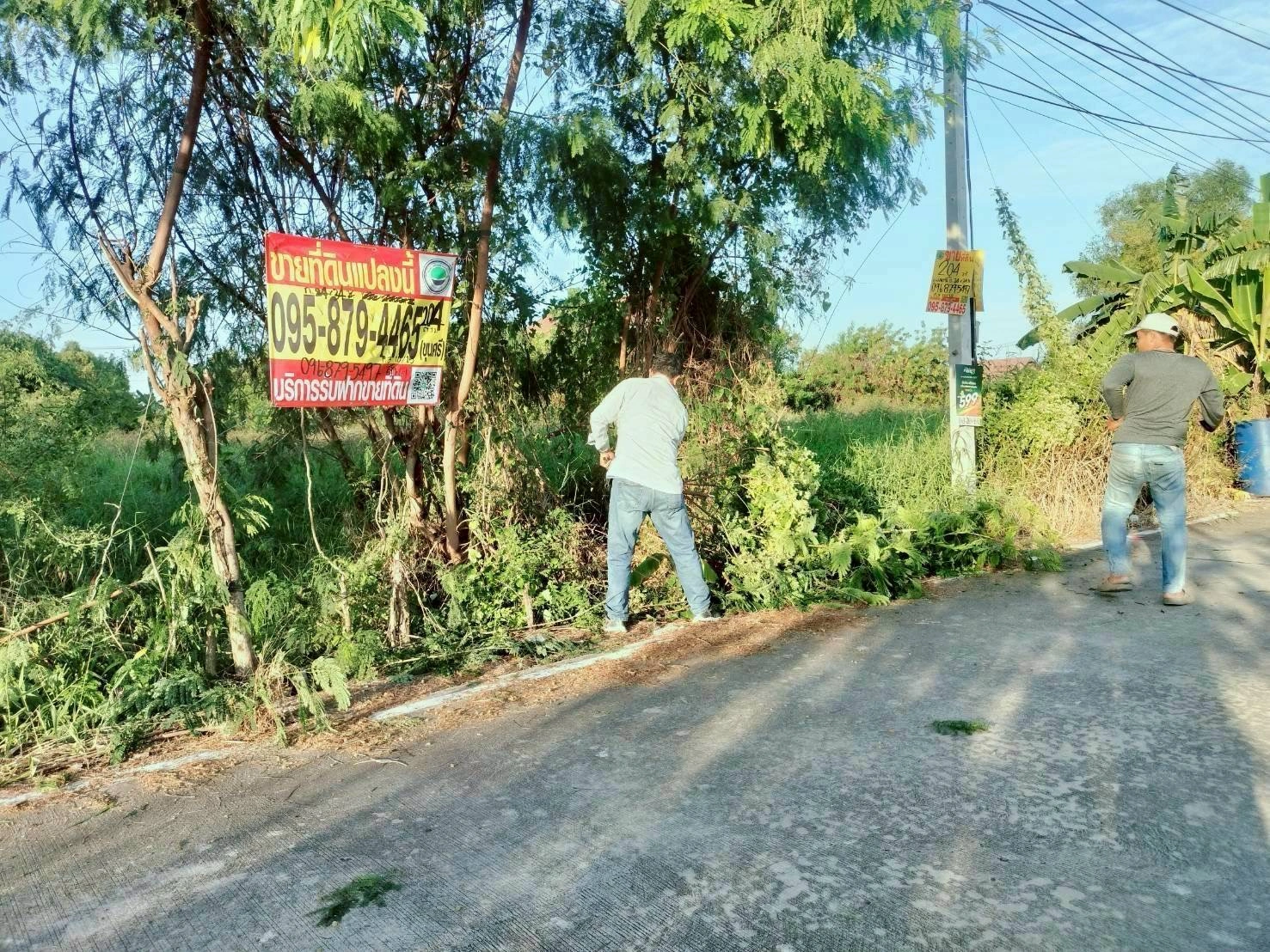 ขายถูกที่ดินใกล้วัดธรรมกาย 204  ตรว ติดถนนคอนกรีตสาธารณะ ซ.คลองสาม 10/15 อ.คลองหลวง จ.ปทุมธานี