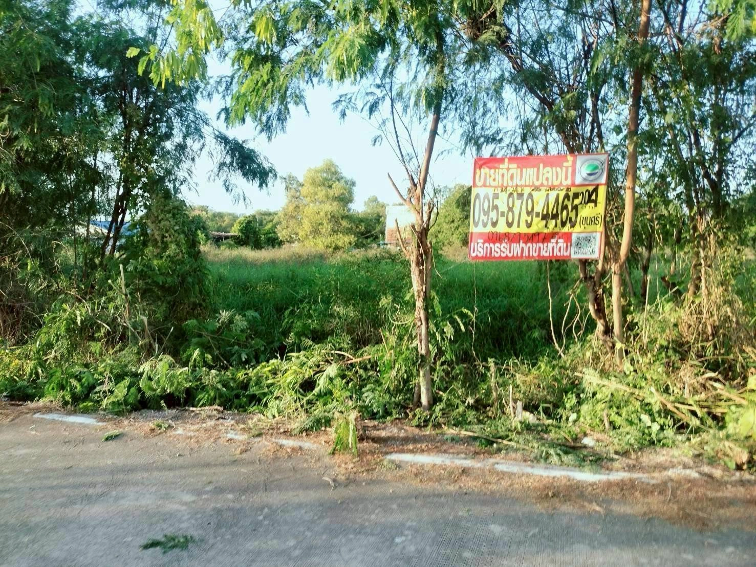 ขายถูกที่ดินใกล้วัดธรรมกาย 204  ตรว ติดถนนคอนกรีตสาธารณะ ซ.คลองสาม 10/15 อ.คลองหลวง จ.ปทุมธานี