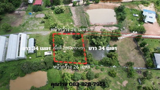 ที่ดิน 200 ตารางวา มีโฉนด ถมเต็มพื้นที่ หน้าโรงพยาบาลปากพลี ขาย 7 แสนบาทพร้อมดอน