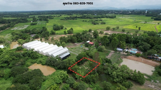 ที่ดิน 200 ตารางวา มีโฉนด ถมเต็มพื้นที่ หน้าโรงพยาบาลปากพลี ขาย 7 แสนบาทพร้อมดอน