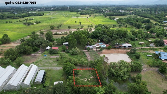 ที่ดิน 200 ตารางวา มีโฉนด ถมเต็มพื้นที่ หน้าโรงพยาบาลปากพลี ขาย 7 แสนบาทพร้อมดอน
