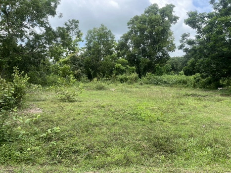 ที่ดิน 200 ตารางวา มีโฉนด ถมเต็มพื้นที่ หน้าโรงพยาบาลปากพลี ขาย 7 แสนบาทพร้อมดอน