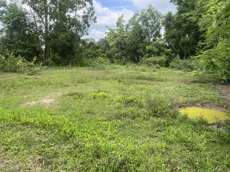 ที่ดิน 200 ตารางวา มีโฉนด ถมเต็มพื้นที่ หน้าโรงพยาบาลปากพลี ขาย 7 แสนบาทพร้อมดอน