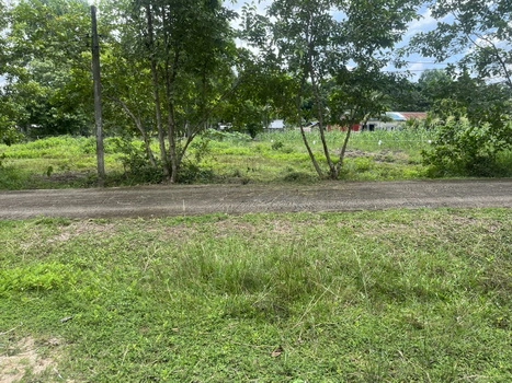 ที่ดิน 200 ตารางวา มีโฉนด ถมเต็มพื้นที่ หน้าโรงพยาบาลปากพลี ขาย 7 แสนบาทพร้อมดอน