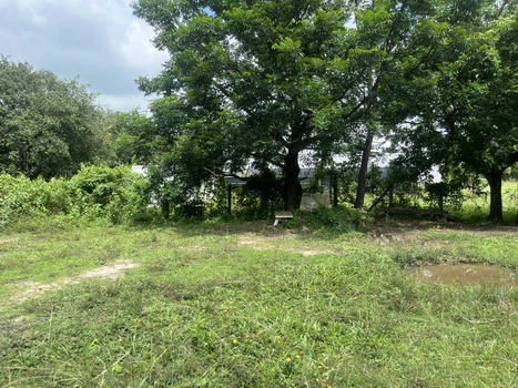 ที่ดิน 200 ตารางวา มีโฉนด ถมเต็มพื้นที่ หน้าโรงพยาบาลปากพลี ขาย 7 แสนบาทพร้อมดอน