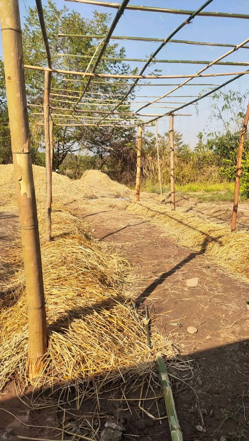 ขายที่ดิน 8 ไร่ 3 งาน (โฉนดครุฑแดง) ต.ภูหอ อ.ภูหลวง ติดถนน เจ้าของขายเอง