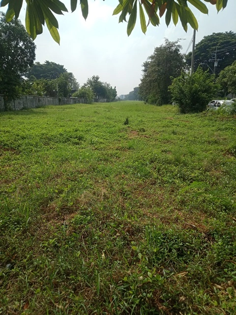 ขายที่ดินติดถนนรามคำแหงซอย 150