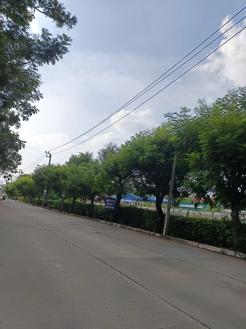 ขายที่ดินทำเลวัชรพล สายไหม ติดถนนสุขาภิบาล5