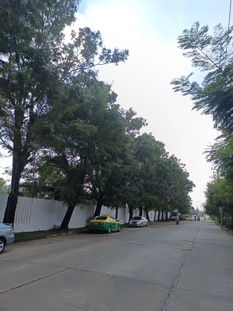 ขายที่ดินทำเลวัชรพล สายไหม ติดถนนสุขาภิบาล5