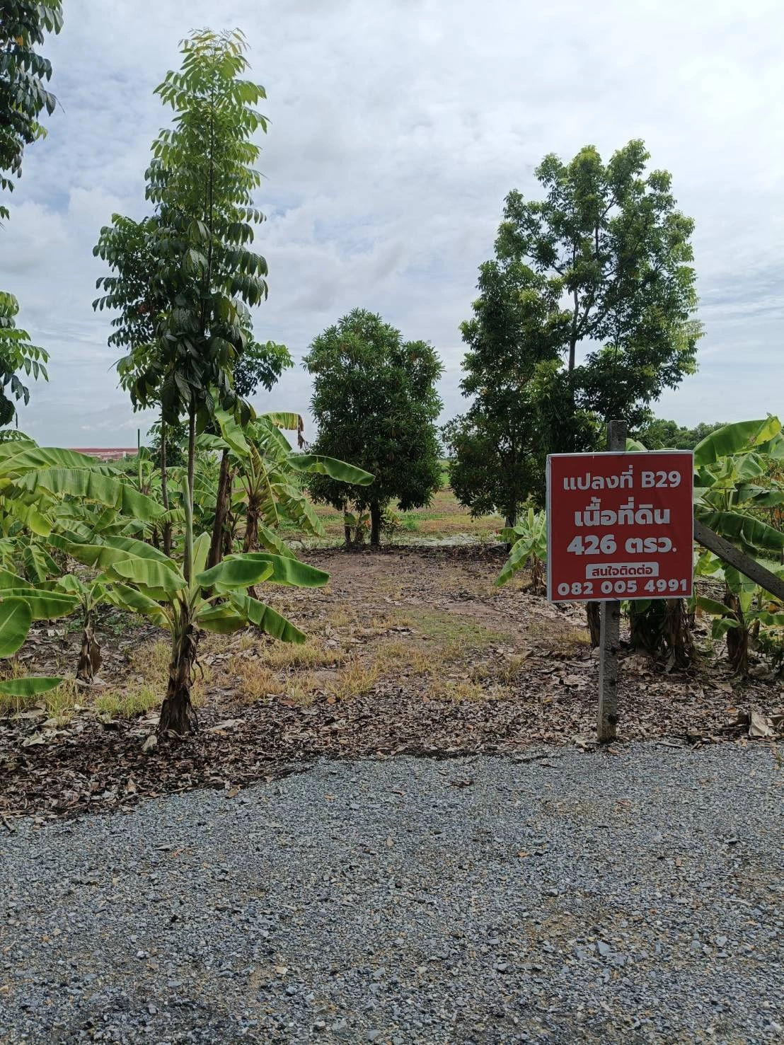 ขายที่ดินติดถนนลำลูกกาคลอง13