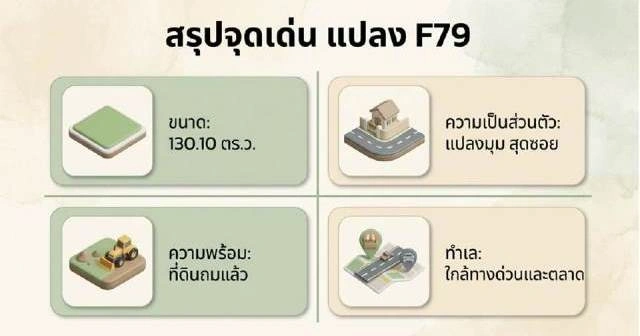 ขายที่ดินในหมู่บ้านเนเบอร์โฮม สุขาภิบาล 5
