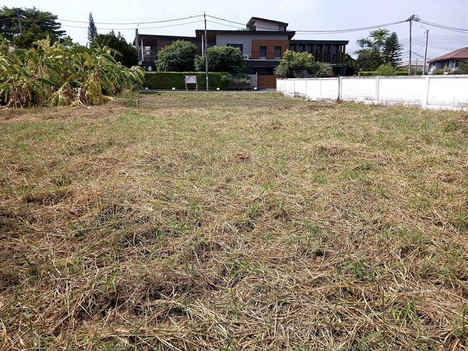 ขายที่ดินในหมู่บ้านเนเบอร์โฮม สุขาภิบาล 5