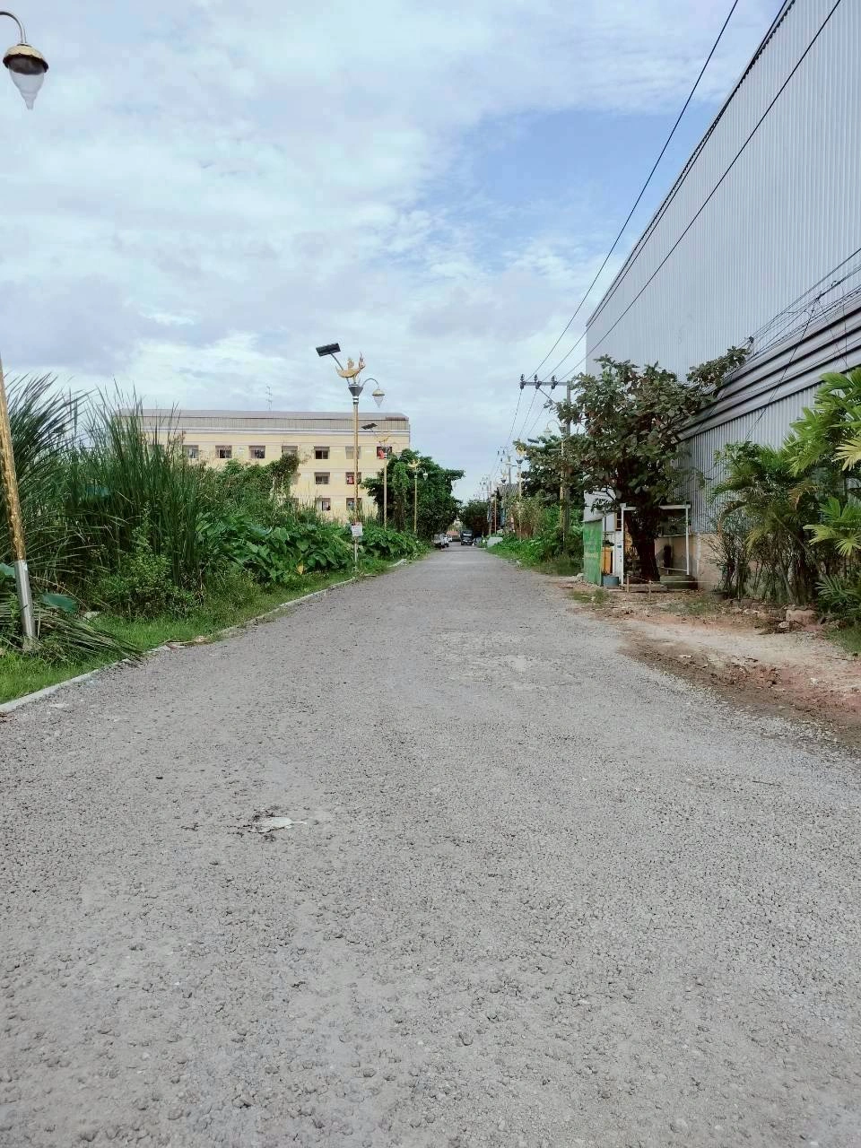 ขายด่วนที่ดินราชาเทวะ 100 ตรว ทำเลดี มีอนาคต  ซ.กิ่งแก้ว 45 อ.บางพลี จ.สมุทรปราการ