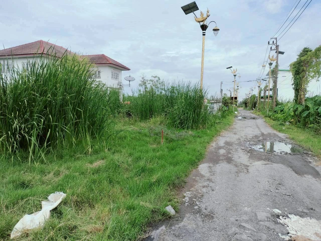 ขายด่วนที่ดินราชาเทวะ 100 ตรว ทำเลดี มีอนาคต  ซ.กิ่งแก้ว 45 อ.บางพลี จ.สมุทรปราการ