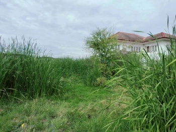 ขายด่วนที่ดินราชาเทวะ 100 ตรว ทำเลดี มีอนาคต  ซ.กิ่งแก้ว 45 อ.บางพลี จ.สมุทรปราการ