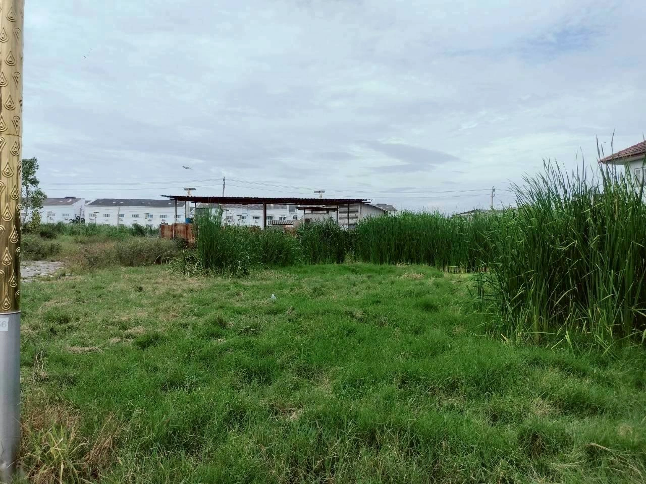 ขายด่วนที่ดินราชาเทวะ 100 ตรว ทำเลดี มีอนาคต  ซ.กิ่งแก้ว 45 อ.บางพลี จ.สมุทรปราการ