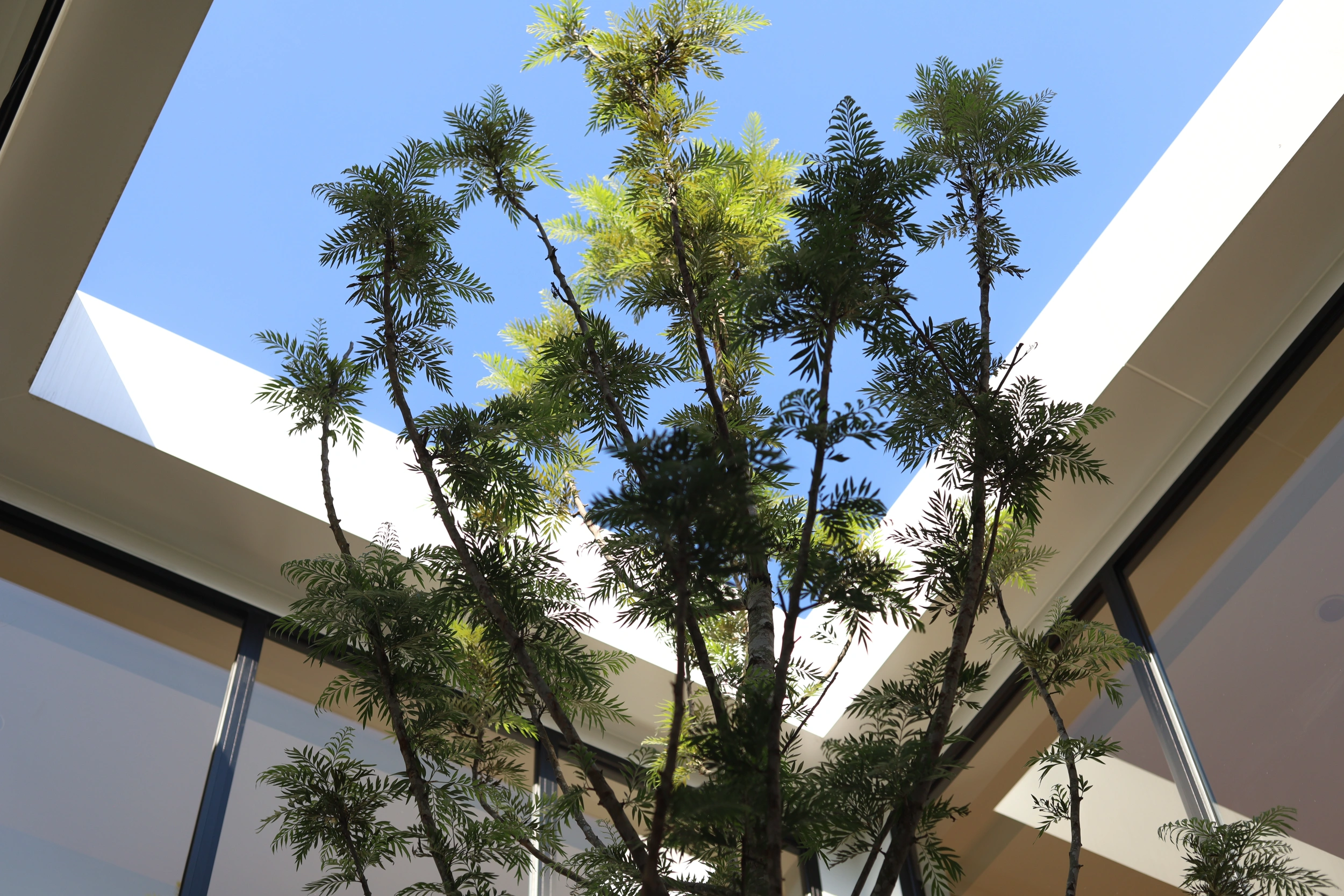 🏠ขายบ้านเดี่ยว 112 ตร.ว หมู่บ้านเทพธานี เฉลิมพระเกียรติ ร.9 💢(บ้านสร้างใหม่ ออกแบบเฉพาะ หรูหรา โดดเด่น)💢