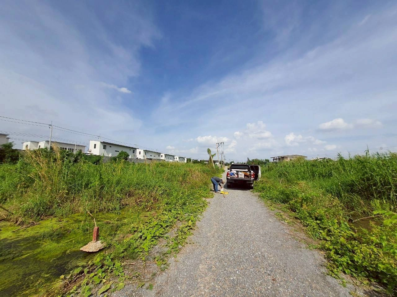 ขายด่วนที่ดินซอยวัดคลองตาคล้าย 128 ตรว ติดถนนสาธารณะ อ.ไทรน้อย จ.นนทบุรี