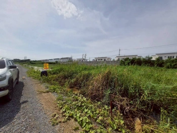 ขายด่วนที่ดินซอยวัดคลองตาคล้าย 128 ตรว ติดถนนสาธารณะ อ.ไทรน้อย จ.นนทบุรี