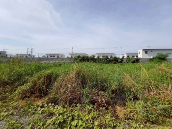 ขายด่วนที่ดินซอยวัดคลองตาคล้าย 128 ตรว ติดถนนสาธารณะ อ.ไทรน้อย จ.นนทบุรี