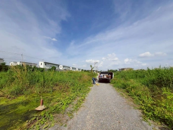 ขายด่วนที่ดินซอยวัดคลองตาคล้าย 128 ตรว ติดถนนสาธารณะ อ.ไทรน้อย จ.นนทบุรี