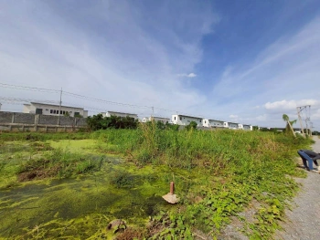 ขายด่วนที่ดินซอยวัดคลองตาคล้าย 128 ตรว ติดถนนสาธารณะ อ.ไทรน้อย จ.นนทบุรี