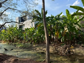 ขายที่ดินพหลโยธิน 35 แยก 19 ซอยสังข์ทอง 9 (พื้นที่สีส้ม) เนื้อที่ 6‑0‑69 ไร่ ใกล้เมเจอร์รัชโยธิน โทร 090-6360022