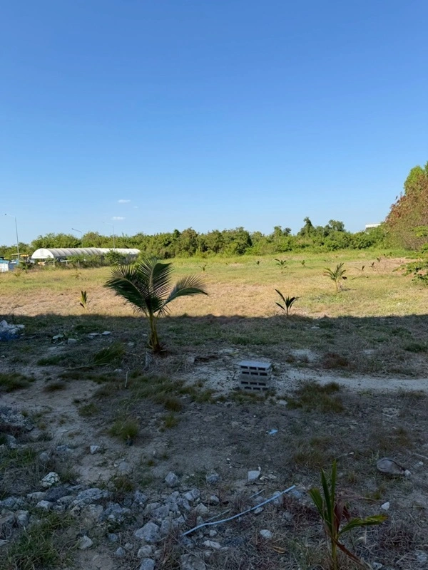 ขายที่ดิน บางนา กม.25 (พื้นที่สีแดง) เนื้อที่ 4 ไร่ 3 ตรว. ติดถนนบางนา-ตราด ฝั่งขาออก โทร 090-6360022