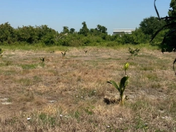 ขายที่ดิน บางนา กม.25 (พื้นที่สีแดง) เนื้อที่ 4 ไร่ 3 ตรว. ติดถนนบางนา-ตราด ฝั่งขาออก โทร 090-6360022