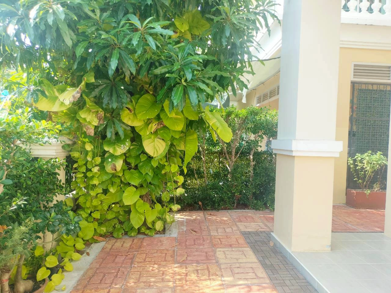 🚩🏠ขายบ้านแฝด 2 ชั้น หมู่บ้านนิรันดร์วิลล์ 12 เดอะทรี  (ซอยวัดศรีวารีน้อย / ทะลุลาดกระบัง 54)