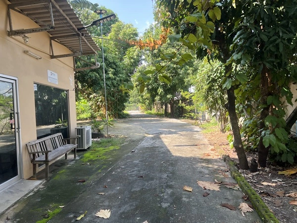 ขายที่ดิน ถนนพระราม2 ซอย28 แยก22 เขตจอมทอง กทม. พร้อมสิ่งปลูกสร้าง เป็นพื้นที่สีส้ม ขนาด 8 ไร่ 1 งาน 85 ตร.ว. โทร. 0814018666