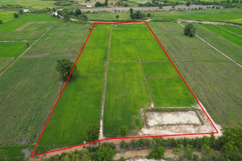 ขายที่ดินสวยราคาถูก ในตำบลไตรตรึงษ์ อำเภอเมืองกำแพงเพชร ติดถนนสองด้าน ติดทางสาธารณะ