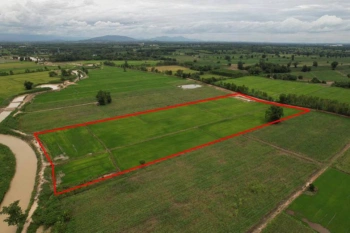 ขายที่ดินสวยราคาถูก ในตำบลไตรตรึงษ์ อำเภอเมืองกำแพงเพชร ติดถนนสองด้าน ติดทางสาธารณะ